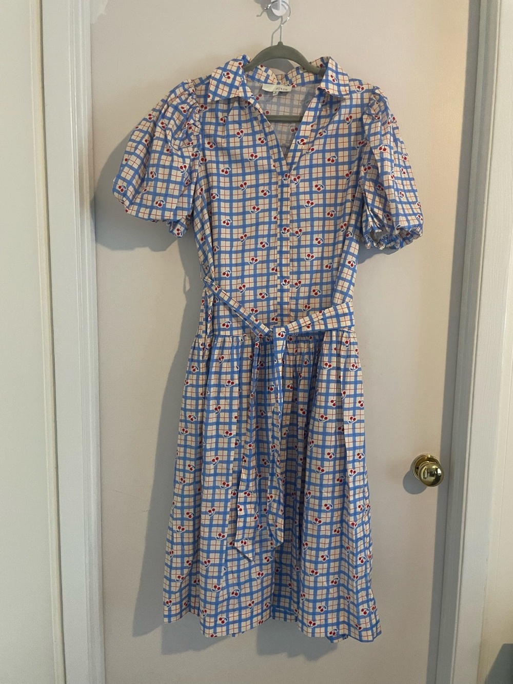 PINCH Blue Gingham Cherry Print Puff Sleeve Dress Sz M EUC (371)